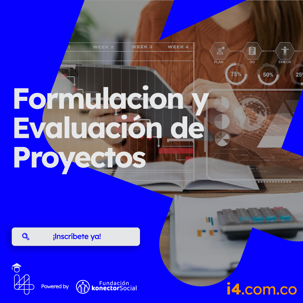 Formulacion y Evaluación de Proyectos